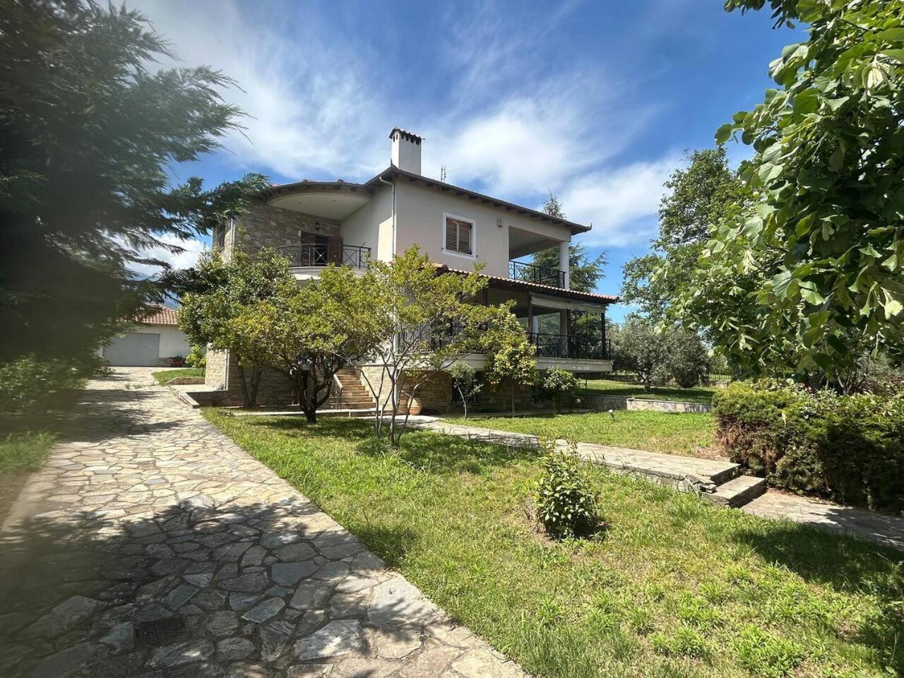 Villa Zeusplace Karia Natura Leptokaryá